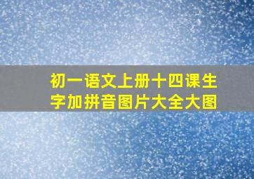 初一语文上册十四课生字加拼音图片大全大图