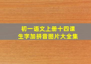 初一语文上册十四课生字加拼音图片大全集