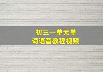 初三一单元单词语音教程视频