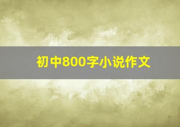 初中800字小说作文