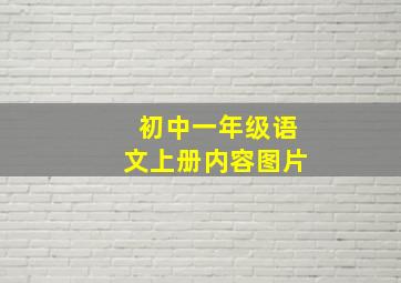 初中一年级语文上册内容图片