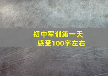 初中军训第一天感受100字左右