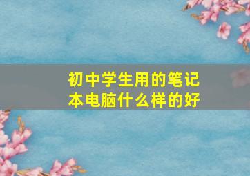 初中学生用的笔记本电脑什么样的好