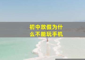 初中放假为什么不能玩手机