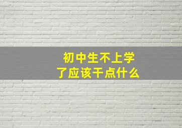 初中生不上学了应该干点什么