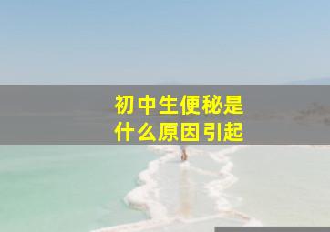 初中生便秘是什么原因引起