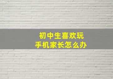 初中生喜欢玩手机家长怎么办