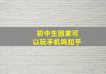 初中生回家可以玩手机吗知乎