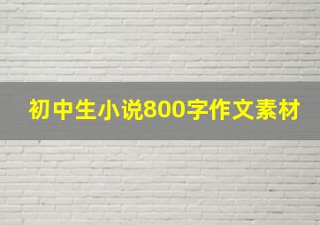 初中生小说800字作文素材