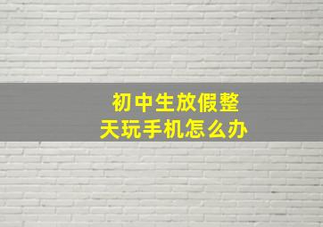 初中生放假整天玩手机怎么办