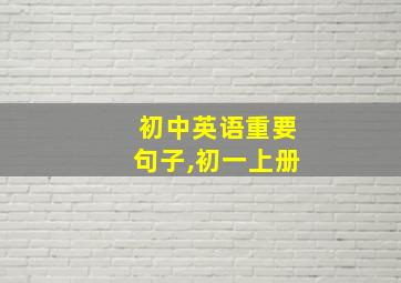 初中英语重要句子,初一上册