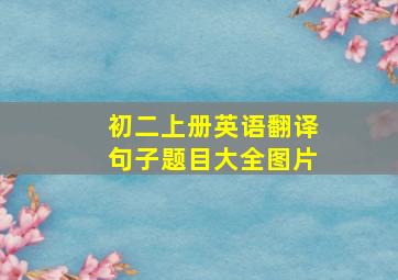 初二上册英语翻译句子题目大全图片