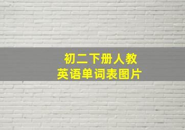 初二下册人教英语单词表图片