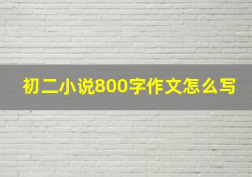 初二小说800字作文怎么写