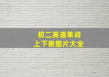 初二英语单词上下册图片大全