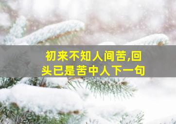 初来不知人间苦,回头已是苦中人下一句