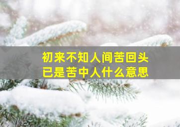 初来不知人间苦回头已是苦中人什么意思