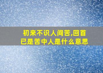 初来不识人间苦,回首已是苦中人是什么意思