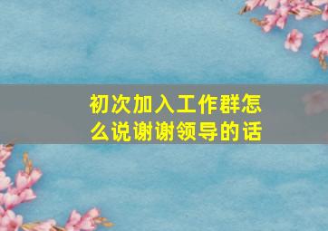 初次加入工作群怎么说谢谢领导的话