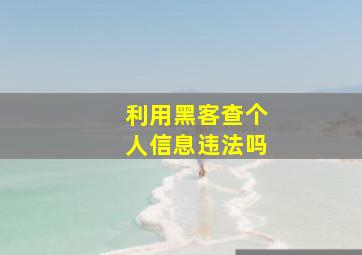 利用黑客查个人信息违法吗