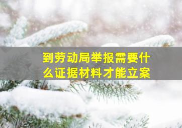 到劳动局举报需要什么证据材料才能立案