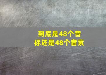 到底是48个音标还是48个音素