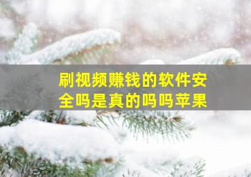 刷视频赚钱的软件安全吗是真的吗吗苹果