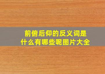 前俯后仰的反义词是什么有哪些呢图片大全