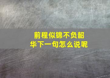 前程似锦不负韶华下一句怎么说呢