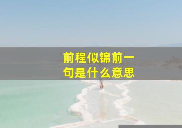 前程似锦前一句是什么意思