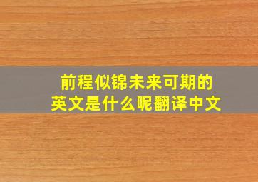 前程似锦未来可期的英文是什么呢翻译中文