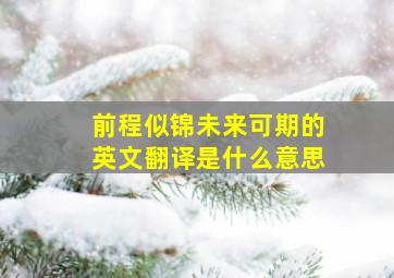 前程似锦未来可期的英文翻译是什么意思