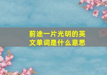 前途一片光明的英文单词是什么意思