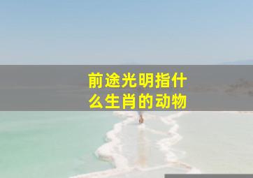 前途光明指什么生肖的动物