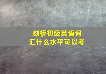 剑桥初级英语词汇什么水平可以考