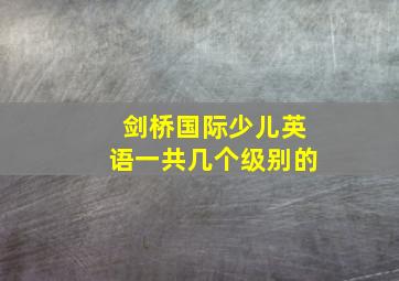 剑桥国际少儿英语一共几个级别的