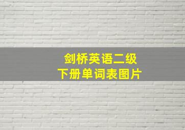 剑桥英语二级下册单词表图片