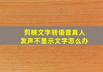 剪映文字转语音真人发声不显示文字怎么办