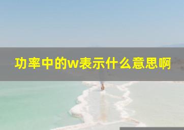 功率中的w表示什么意思啊