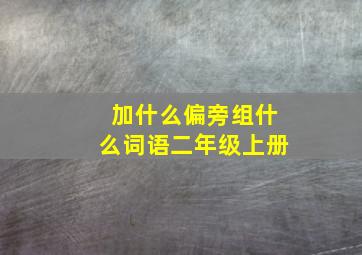 加什么偏旁组什么词语二年级上册