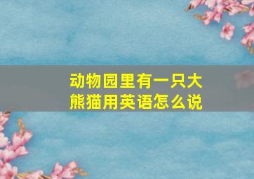 动物园里有一只大熊猫用英语怎么说