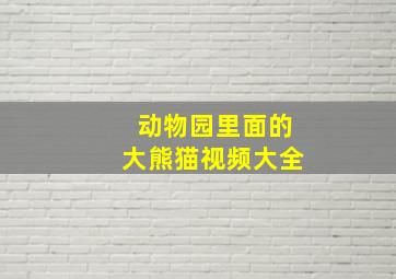 动物园里面的大熊猫视频大全