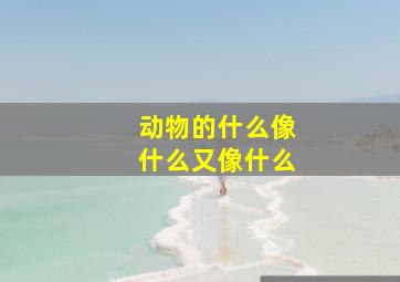 动物的什么像什么又像什么