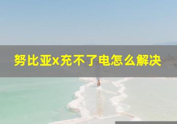 努比亚x充不了电怎么解决