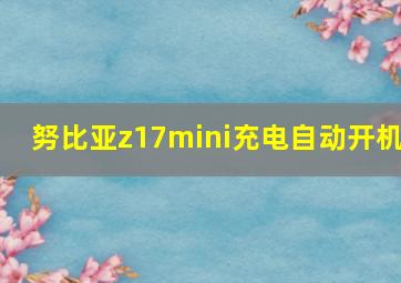 努比亚z17mini充电自动开机