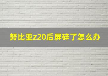 努比亚z20后屏碎了怎么办