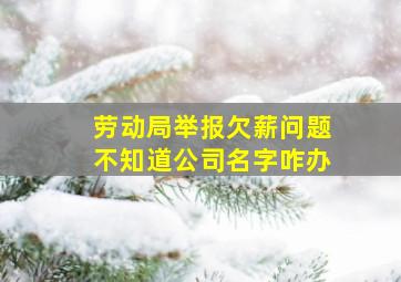 劳动局举报欠薪问题不知道公司名字咋办