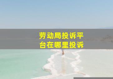 劳动局投诉平台在哪里投诉