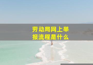 劳动局网上举报流程是什么