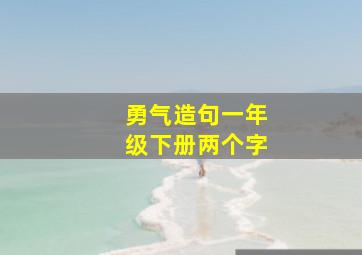 勇气造句一年级下册两个字